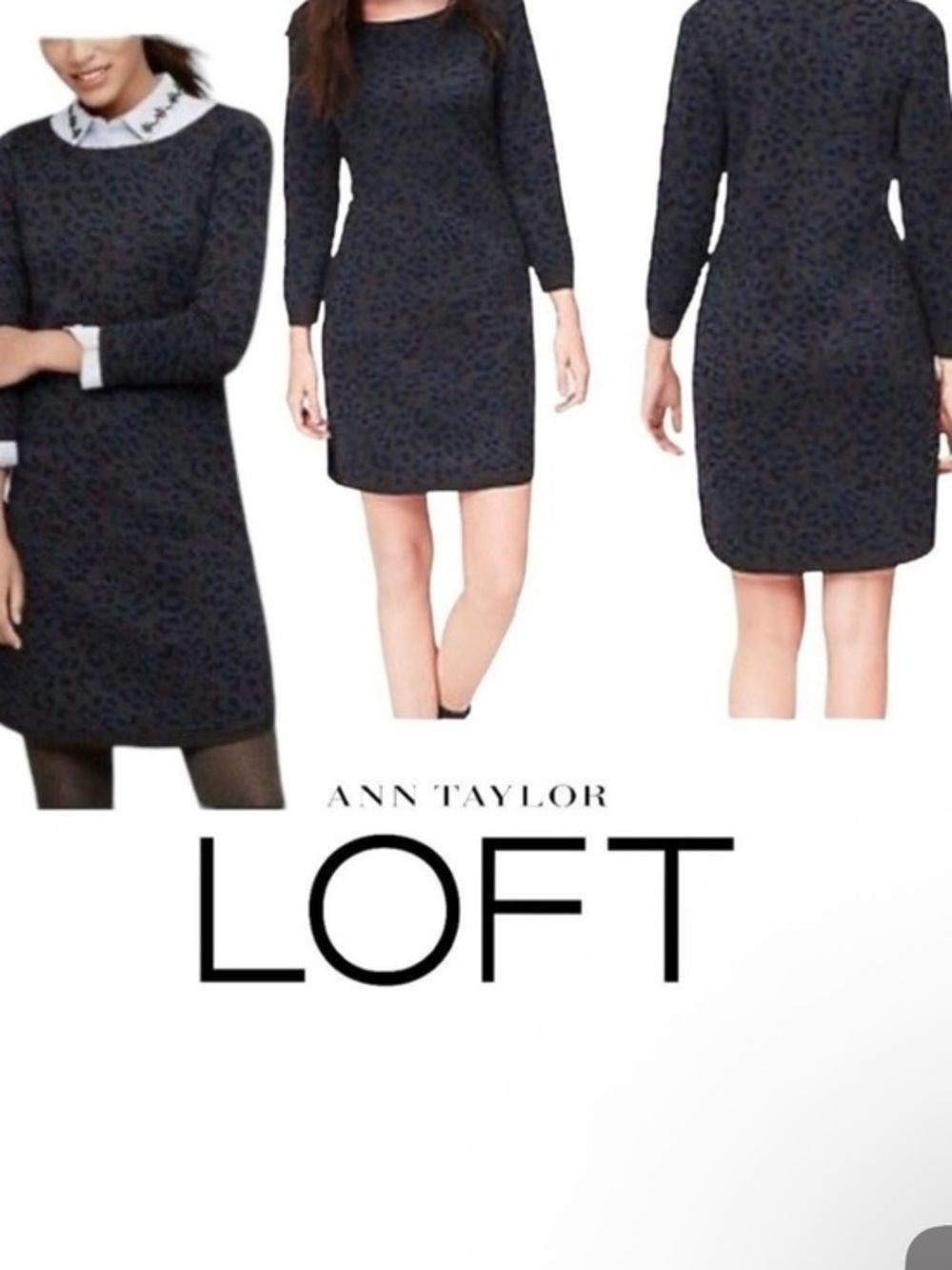 Loft by Ann Taylor gray blue leopard print wool blend sweater dress xs